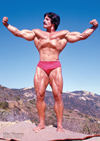 MIKE MENTZER POSTER #1 - Large A2